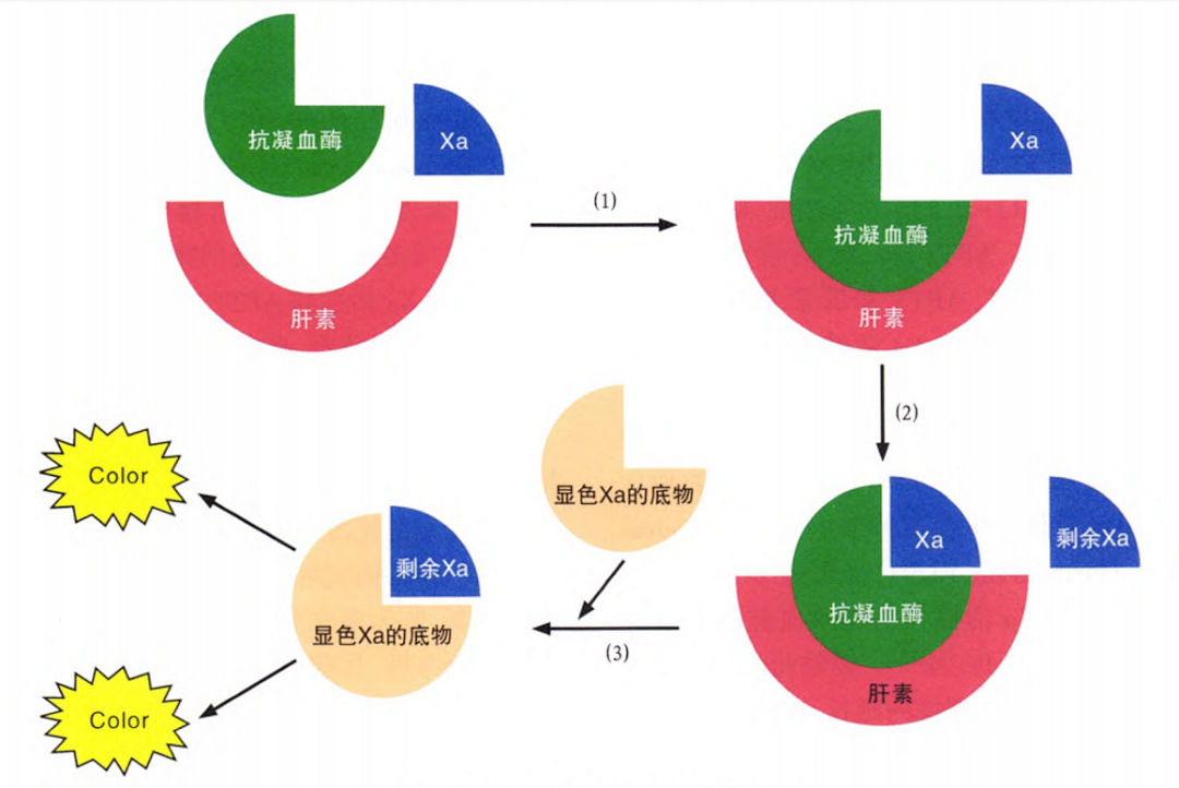 國產(chǎn)抗Xa質(zhì)量如何？多中心臨床研究來告訴你！